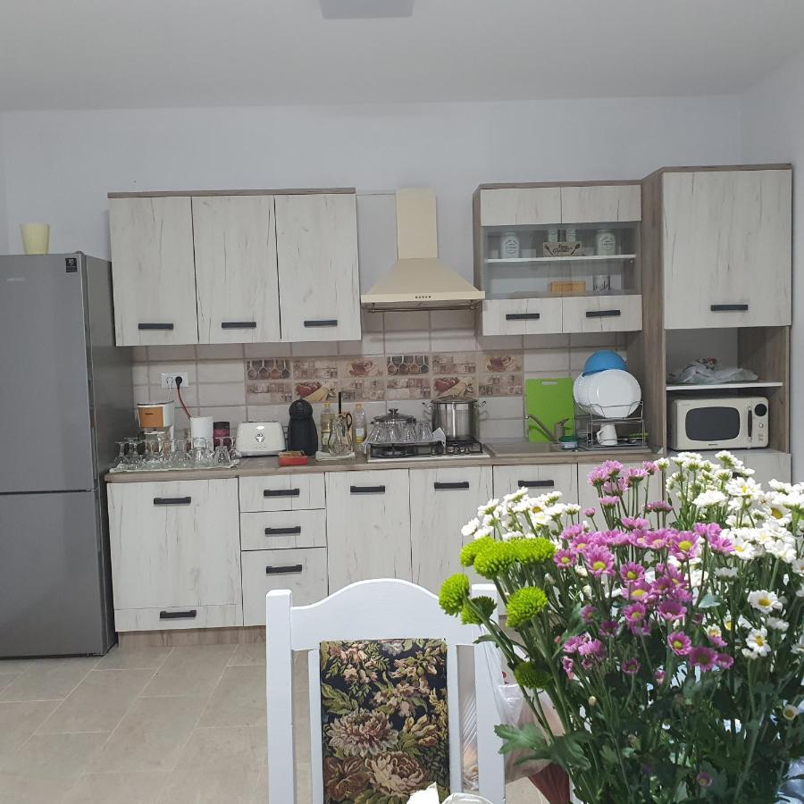 Casa Sofia Apartment Baltatesti Ngoại thất bức ảnh
