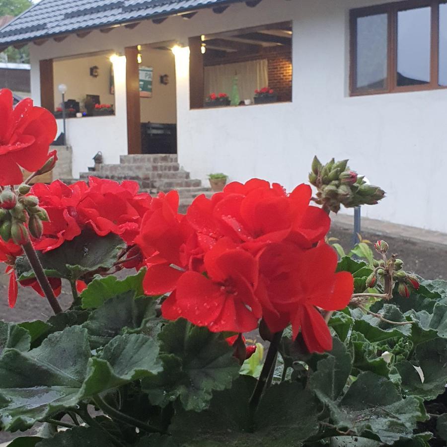 Casa Sofia Apartment Baltatesti Ngoại thất bức ảnh