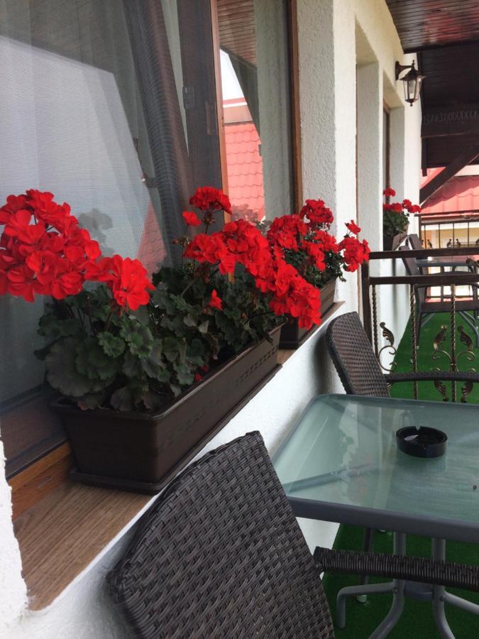 Casa Sofia Apartment Baltatesti Ngoại thất bức ảnh