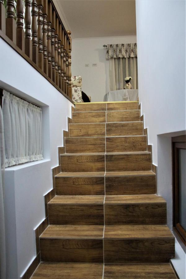 Casa Sofia Apartment Baltatesti Ngoại thất bức ảnh